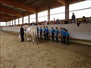 voltitag 2009 _CD2 120